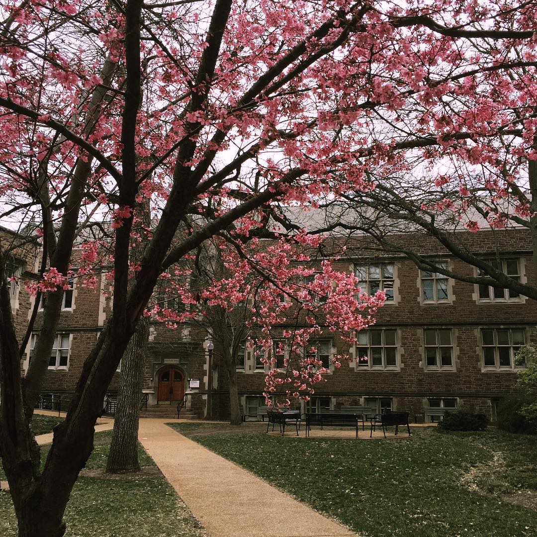 圣路易斯华盛顿大学：不在华盛顿的华盛顿大学，不是藤校的藤校(图9)