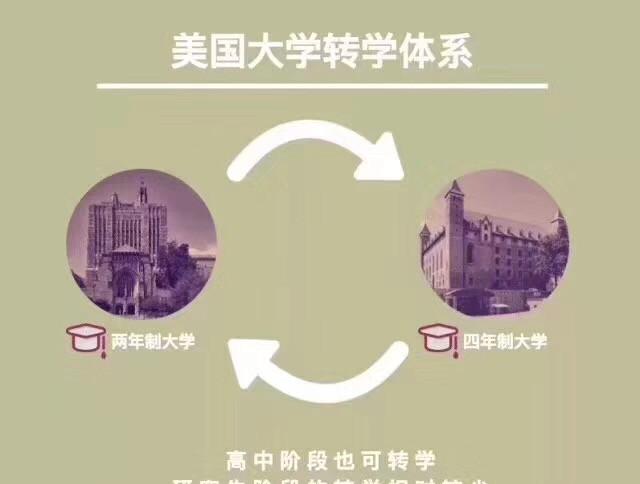 美国本科转学“大心得”